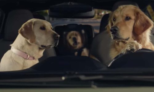 Гледайте шестте очарователни нови реклами на кучета на Subaru за Crosstrek, Impreza